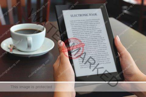Electronic book