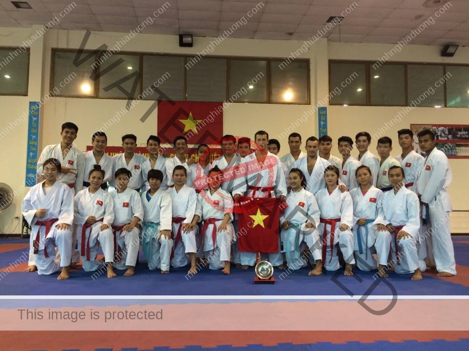 Đội tuyển Karatedo Việt Nam