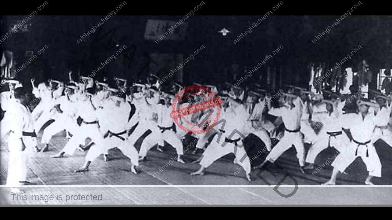 Cảnh tập luyện môn sinh Hệ phái Suzucho Karatedo