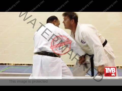 Phân thế Gạt thấp GedanBarai Karate